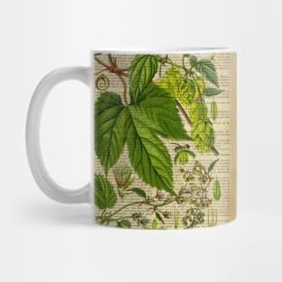 Botanical print, on old book page Hoops Mug